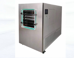 LGJ-300FG原位冷凍干燥機